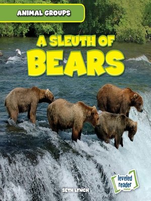 cover image of Sleuth of Bears